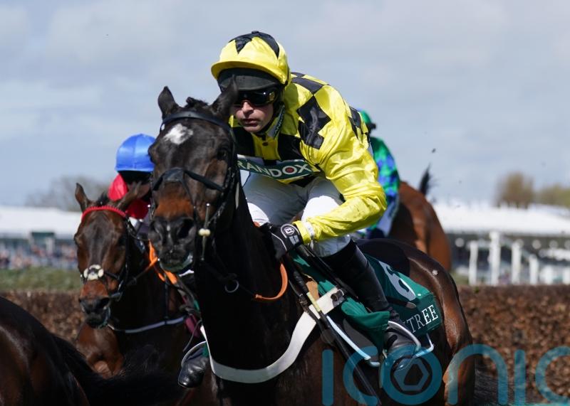 Henderson weighing up options for Shishkin