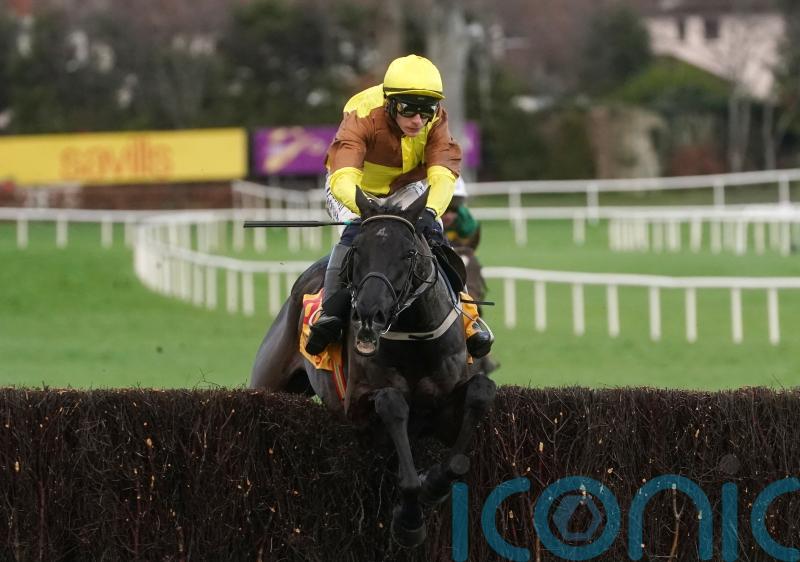 Galopin Des Champs sparkles with scintillating Savills success