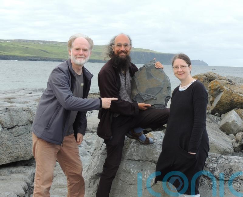 &lsquo;Exceptional&rsquo; 315-million-year-old fossil sponge found in Irish cliffs