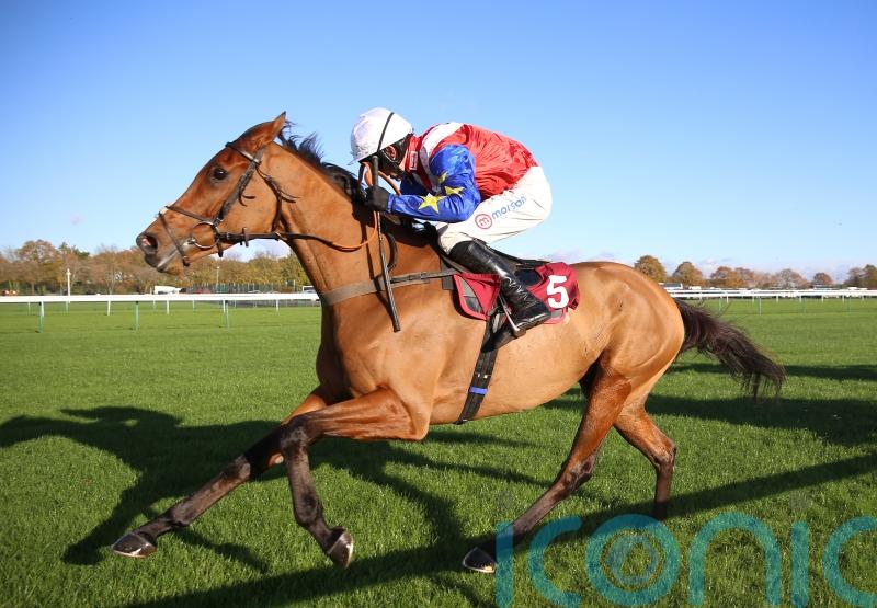 Fehily pleased to see Tahmuras back to winning ways