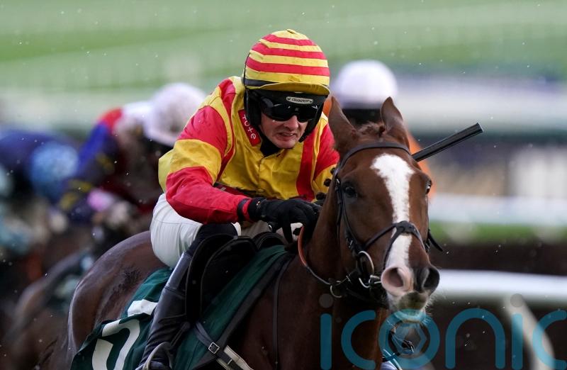 King considering Newbury or Huntingdon for Festival hope Lookaway