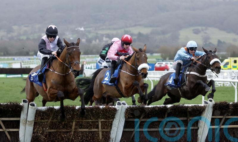 Bob Olinger on course for Irish Champion Hurdle
