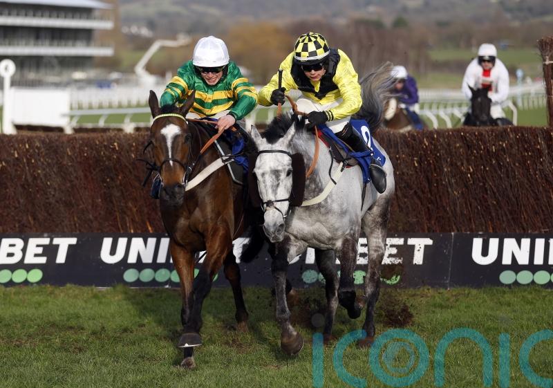 Elixir Du Nutz shocks favourite Jonbon in Clarence contest