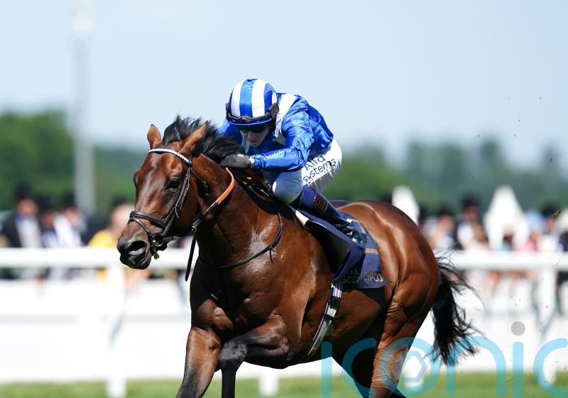 First foal of brilliant Baaeed born in France