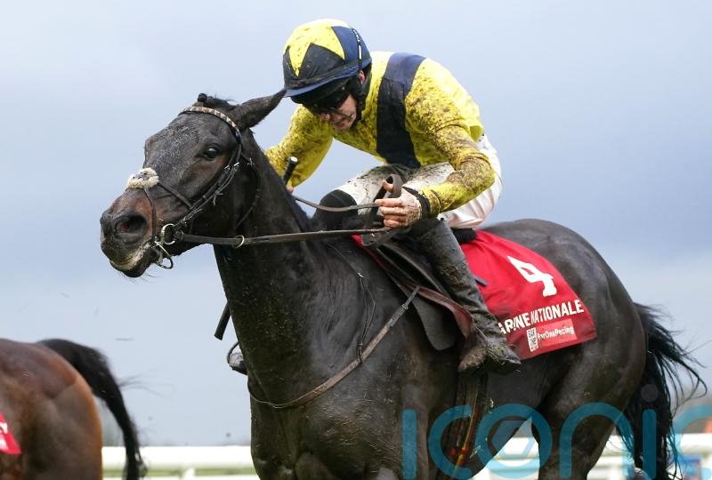Marine Nationale primed for Irish Arkle duty