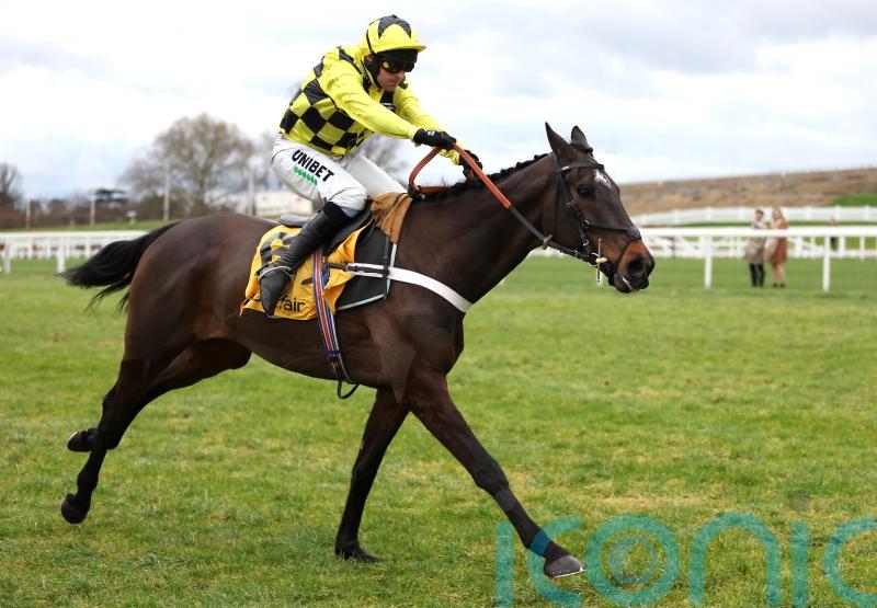 Gold-en ticket awaits Shishkin if all goes to plan at Newbury