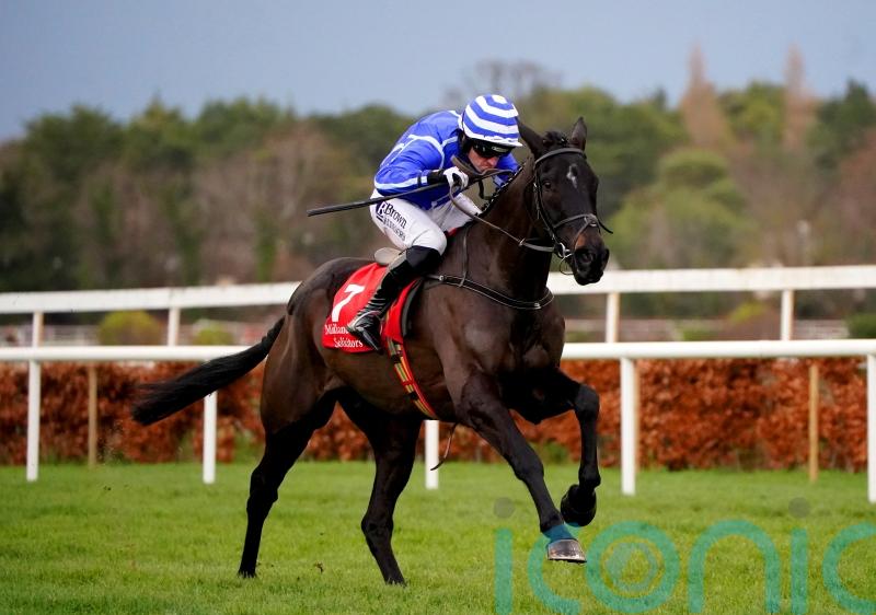 Baring Bingham looking favoured test for Ile Atlantique