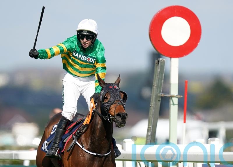 Sire Du Berlais back in Boyne action