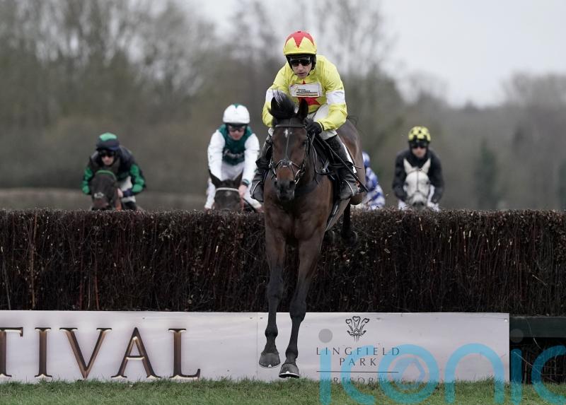 Ryanair or Aintree now the next target for Protektorat