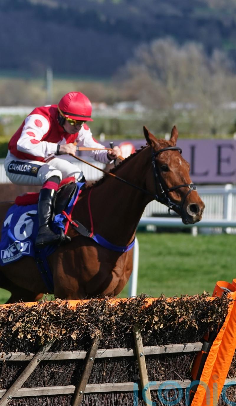 Fowler putting Colonel Mustard on Champion Hurdle case