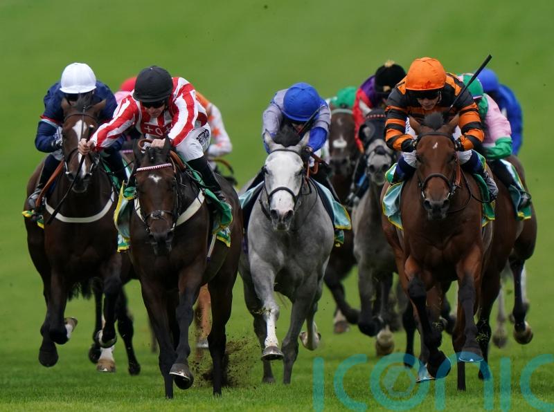 Astro King aiming to hit Riyadh heights