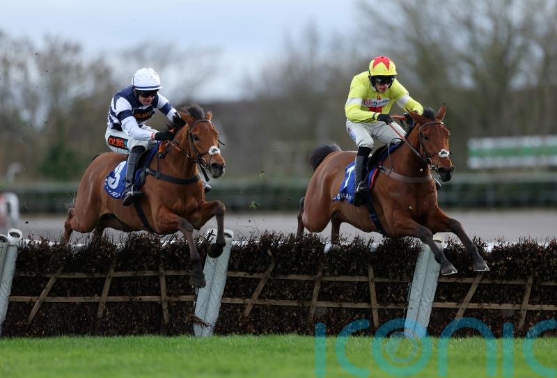 Kalif Du Berlais made to battle for Adonis honours