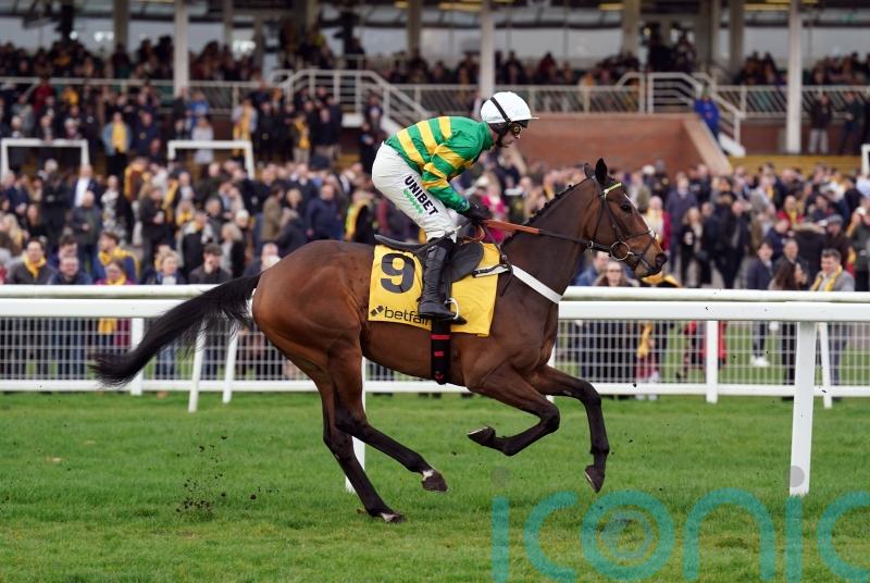 Henderson-trained Iberico Lord supplemented for Champion Hurdle