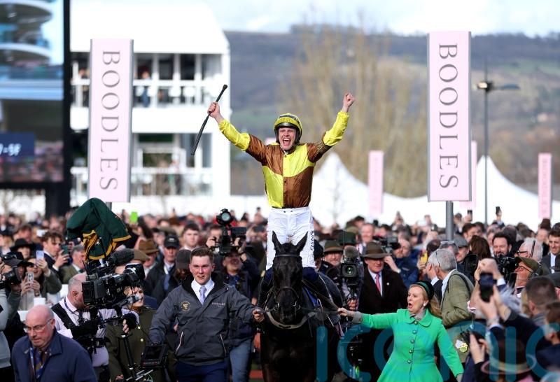 Harrington &lsquo;well aware&rsquo; of overwhelming number of Irish-trained Festival favourites