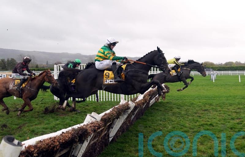 Milan Tino to fly the Cheltenham flag for France