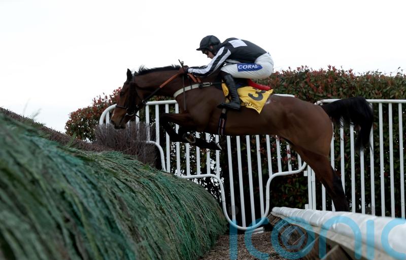 Tizzard team scoop Sandown double