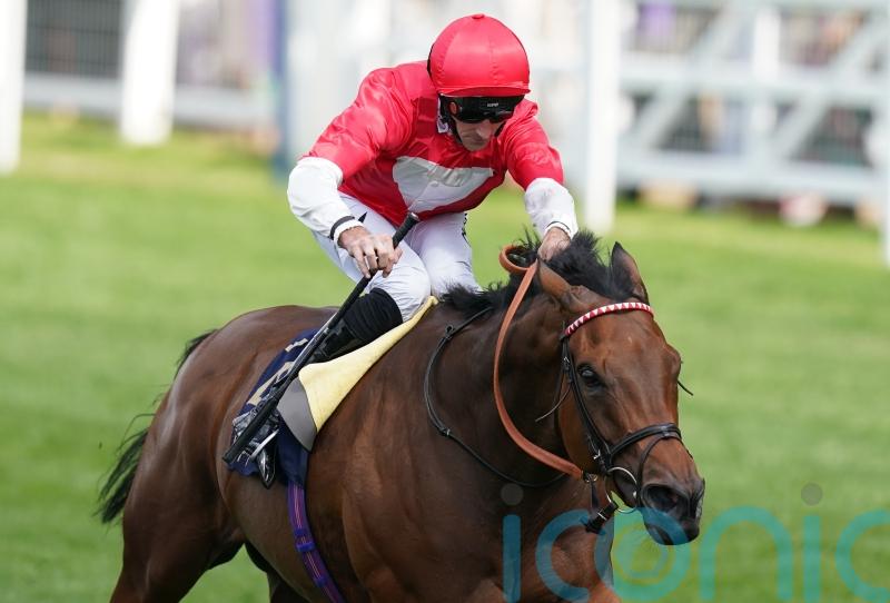 Joseph O&rsquo;Brien looking forward to Rogue Millennium this season