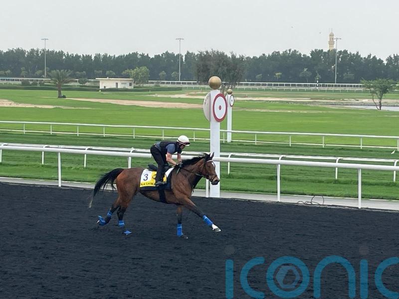 Dubai Turf distance expected to suit Nashwa