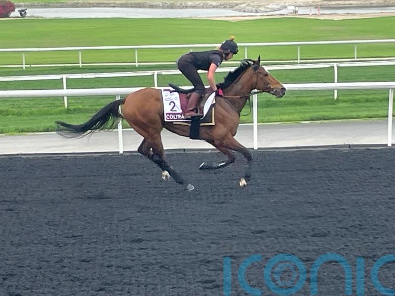 Murphy hoping Coltrane can play leading Meydan role