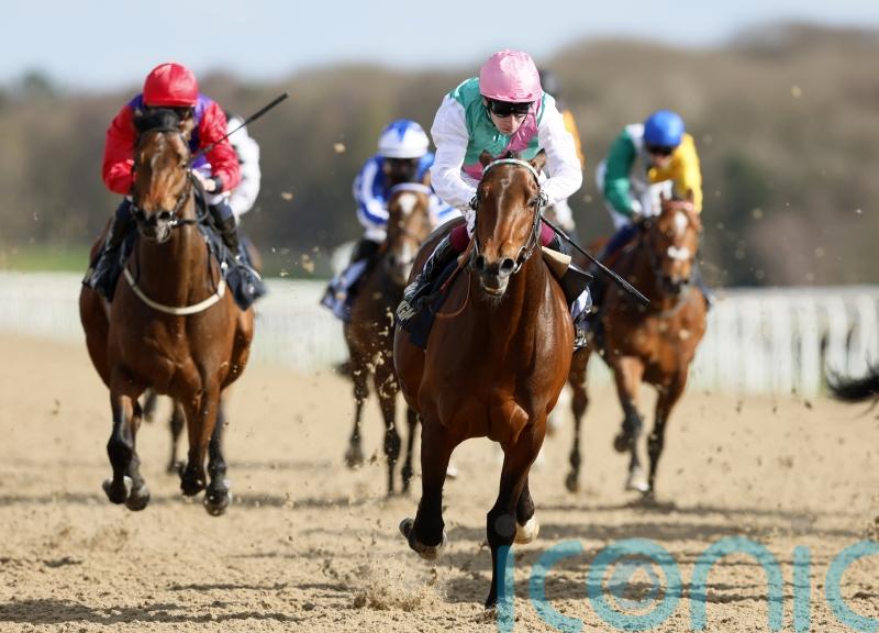 Fire Demon finishing speed too hot for Newcastle rivals