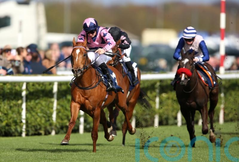 Cunha has Royal Ascot ambitions for Zminiature