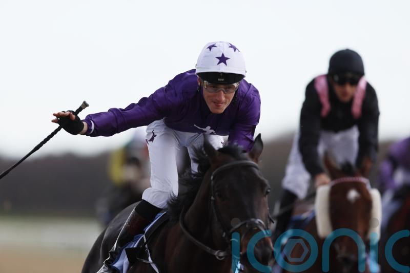 Exciting big-race options are open to Elegant Man