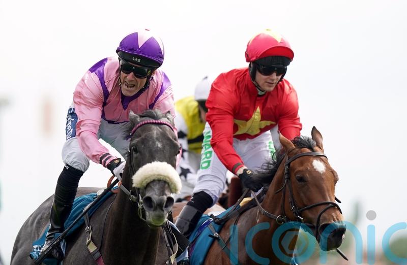 Azure Blue camp eyeing York return for comeback spin