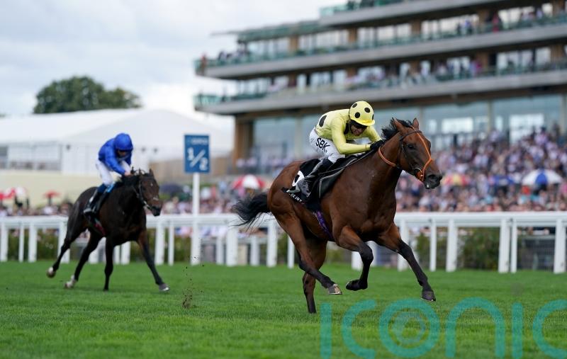 National hero Murphy relishing Rosallion&rsquo;s bid for 2000 Guineas glory