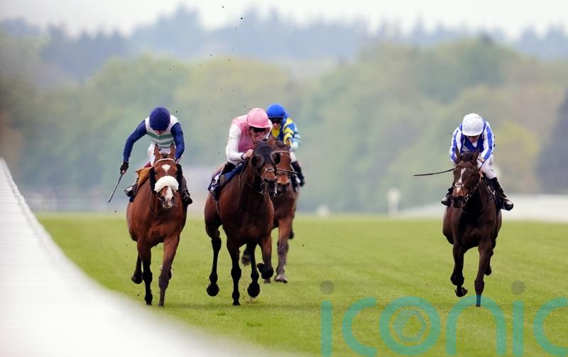 French trip planned to put Chorister on song for Gold Cup