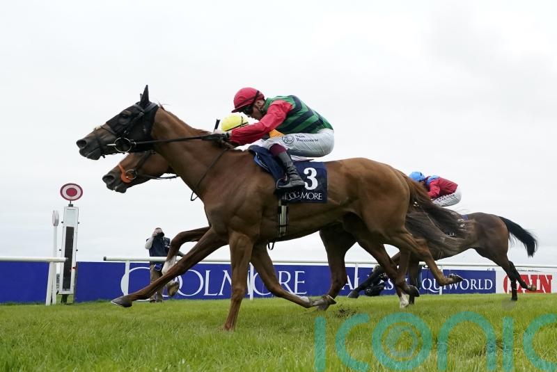 Gregarina makes her mark in Athasi debut