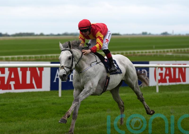 Mooresbridge magic from impressive White Birch