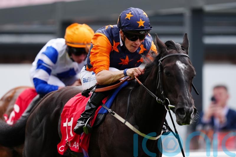 Seraphim Angel proves just divine for Dascombe