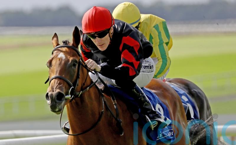 McCreery targeting &lsquo;happy and fruitful summer&rsquo; for Vespertilio