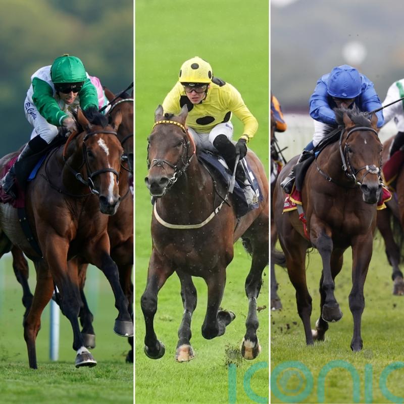 Classic aspirations on trial as Dante field assembles at York