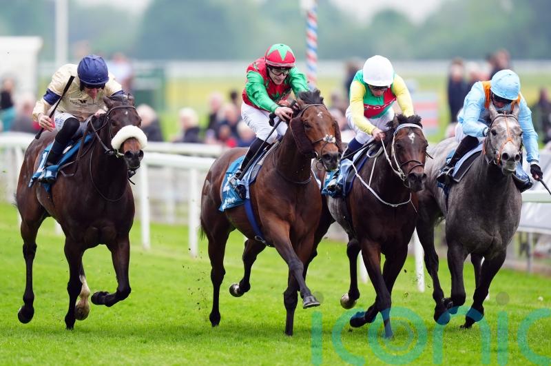 Mill Stream digs deep to take Duke of York honours