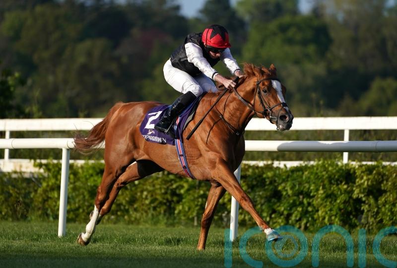 O&rsquo;Brien all set to unleash staying big guns on Friday