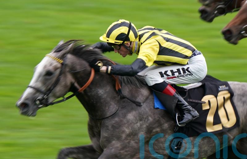 True Cyan out to continue fine stable form at York