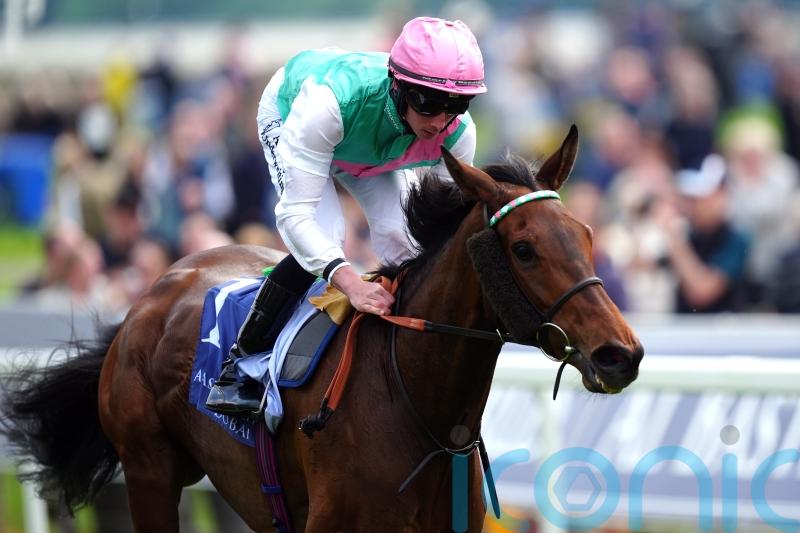 Bluestocking wows with Middleton demolition