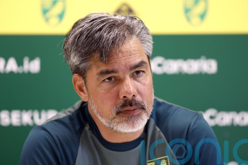 David Wagner sacked by Norwich following Championship play-off thrashing