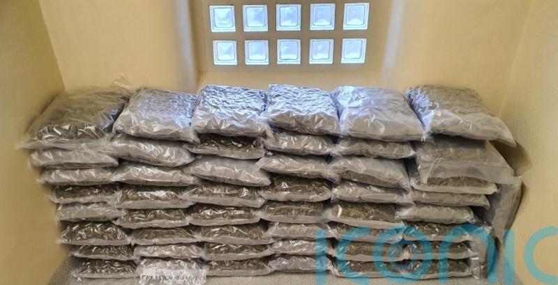 Suspected cannabis worth one million euro seized in Co Meath