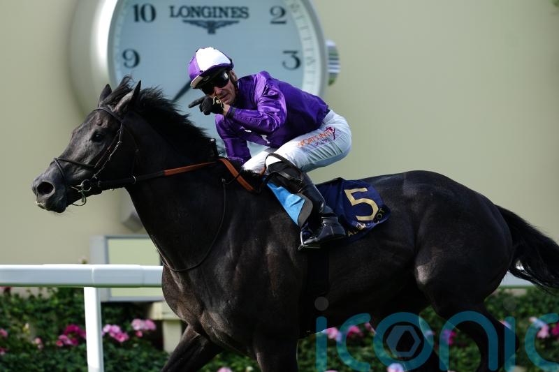 Philosophical Varian grateful for opportunity amid King Of Steel speculation