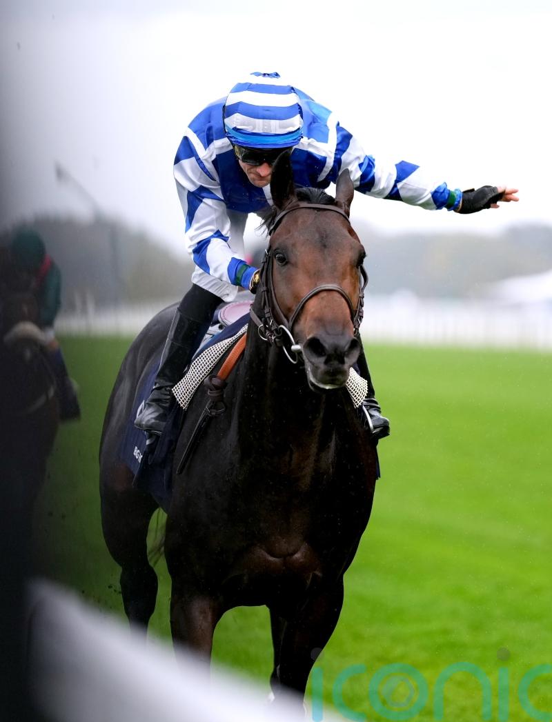 Big Rock team will regroup after Lockinge conditions go against QEII winner