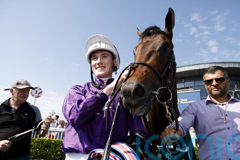 Bucanero Fuerte too strong for Lacken rivals