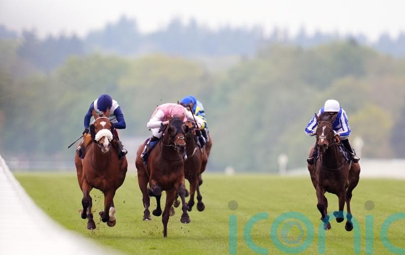 Caius Chorister seeking to further advertise staying credentials