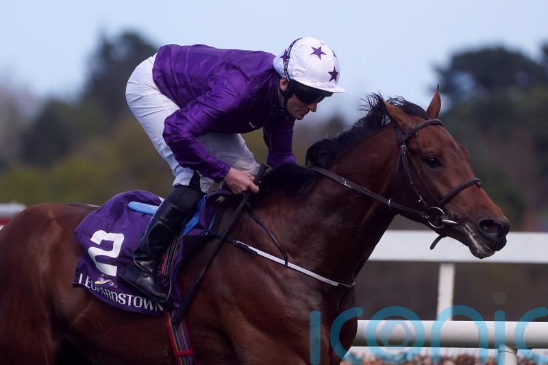 Murray backing Dallas Star to belie Derby longshot status