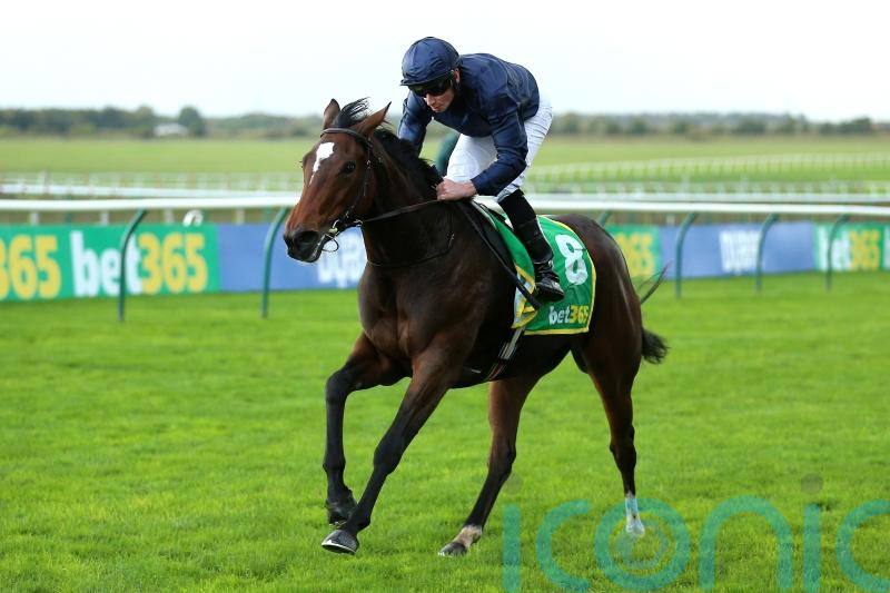 Ylang Ylang leads 15-strong Oaks field