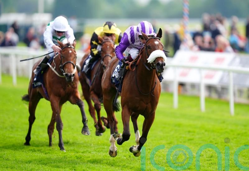 Murphy backs Satire&rsquo;s class but admits stamina question