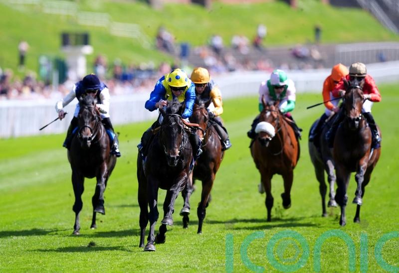 Never So Brave on course for Royal Ascot run