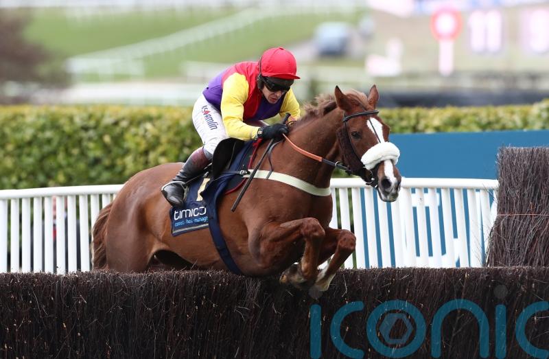 Gold Cup hero Native River sparkles in the showing ring