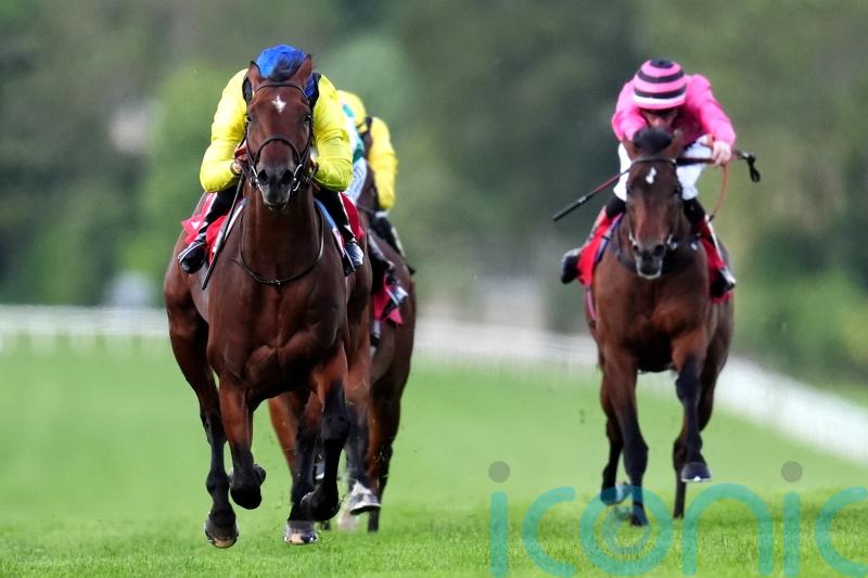 Almaqam team yet to make Royal Ascot call